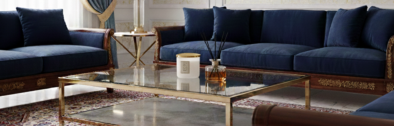 Product launch and market entry